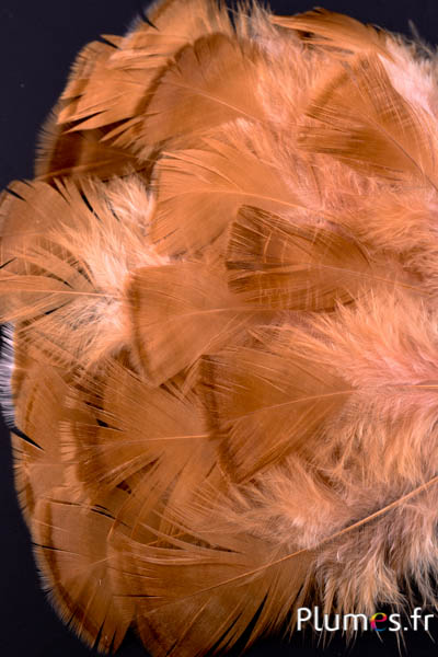 Dindon bronze blanchi - 5-15 cm - saumon rosé-caramel